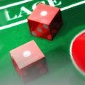 Hoyle Casino Games 4